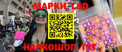 ECSTASY Кингисепп