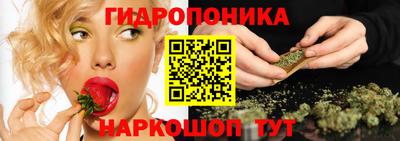 винт Кимры