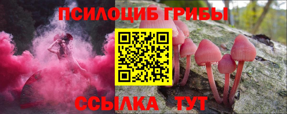 Псилоцибиновые грибы мухоморы Елабуга